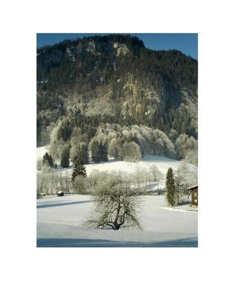 Falkenstein-Wohnung-4-Haus-B Oberstdorf Exterior photo